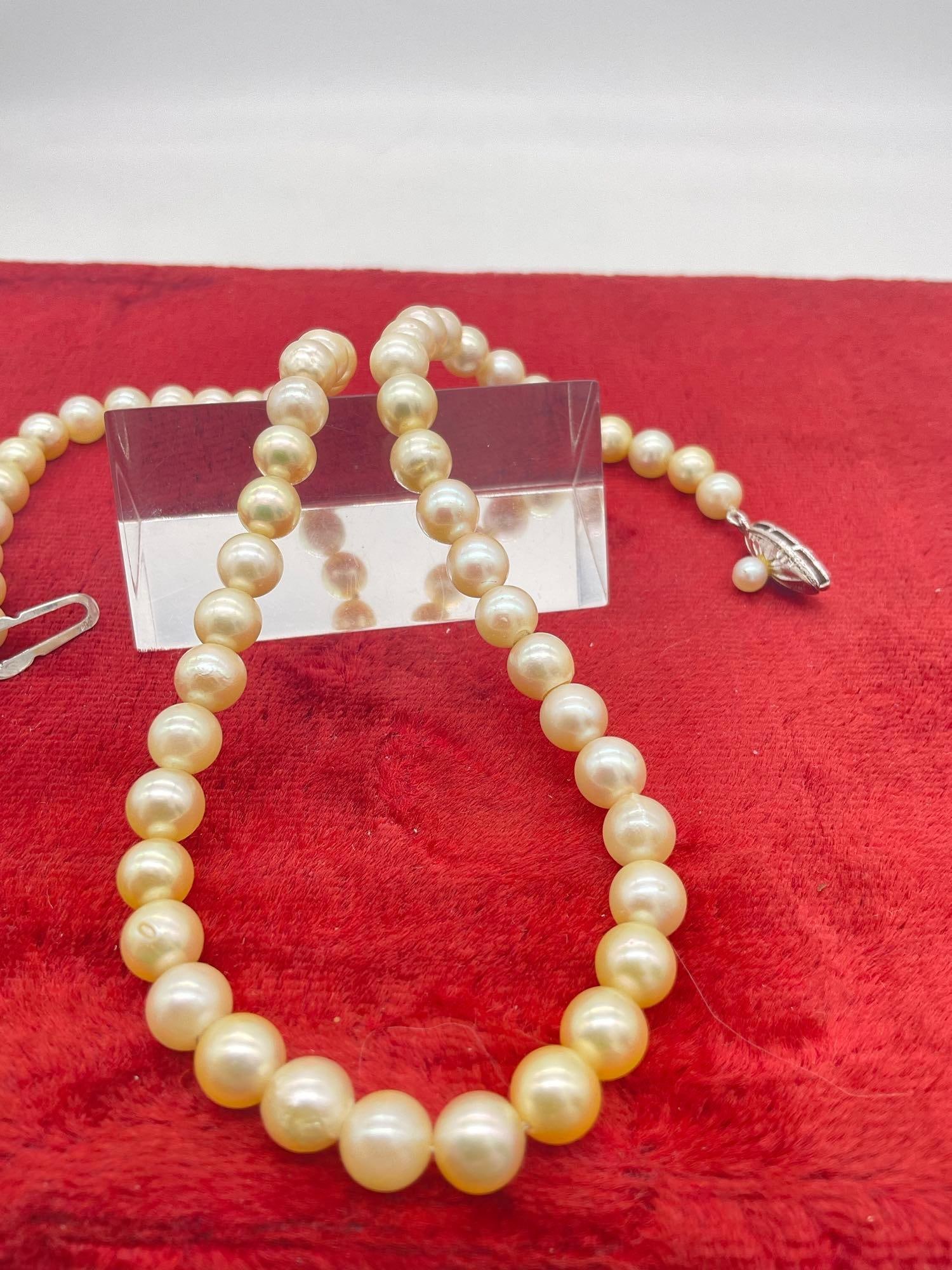 Vintage 5-6 mm Round 14" Pearl necklace on a double knotted strand w/ Clasp that is marked silver - 3