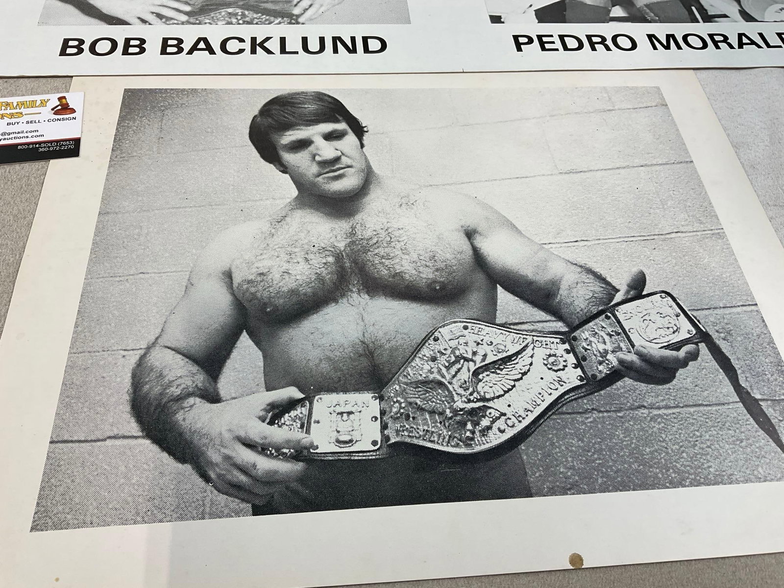 Vintage Professional Wrestling Posters, Hand Printed Bob Backlund, Bruno Sammartino & more - 2