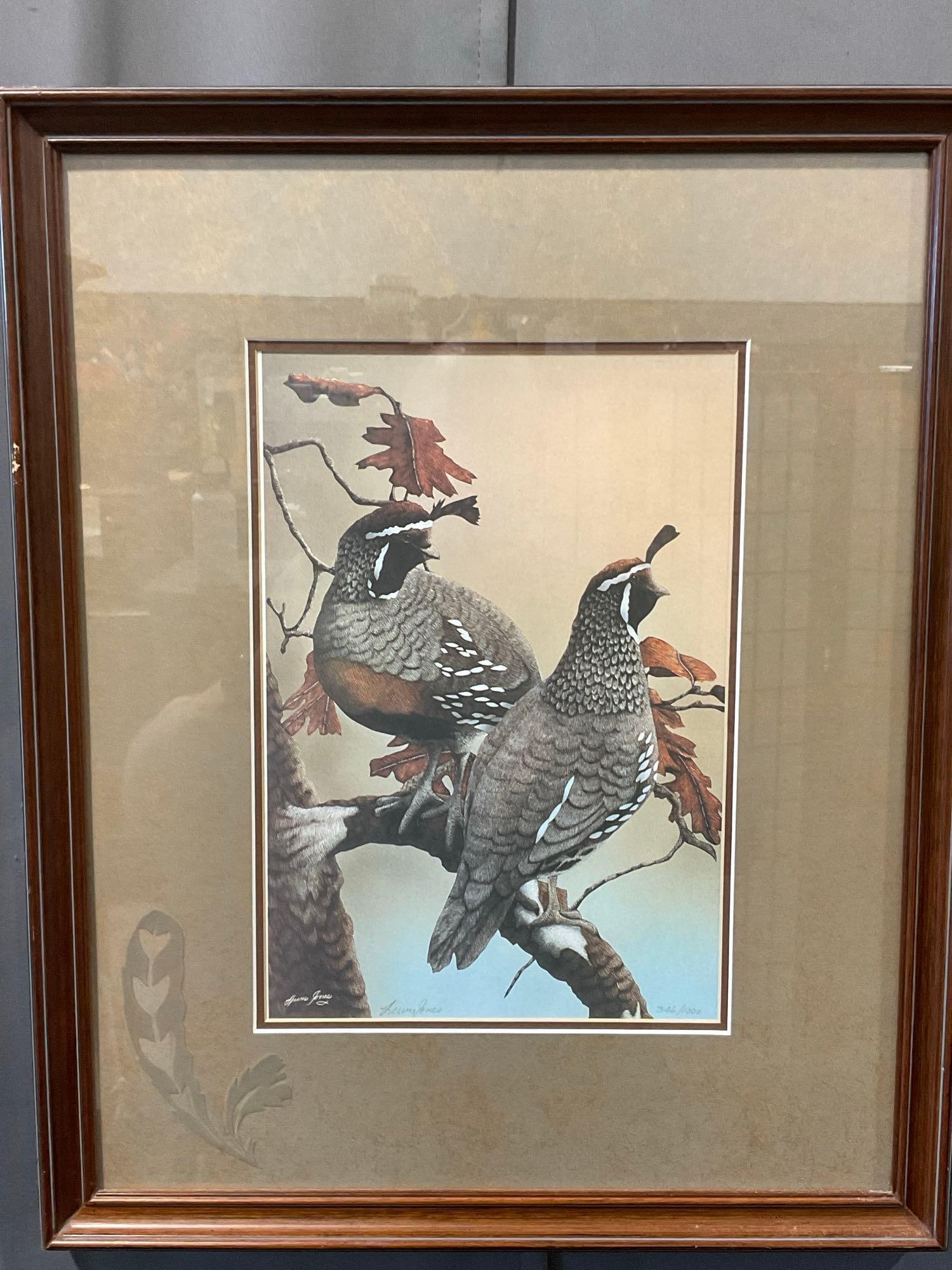 Framed Signed & #d 346/1000 Lithograph California Quails by Lucas Jones, 23x19: Appears to be in good shape. The piece measures approx 23h x 19w x 3d inches. See pics. E-5750