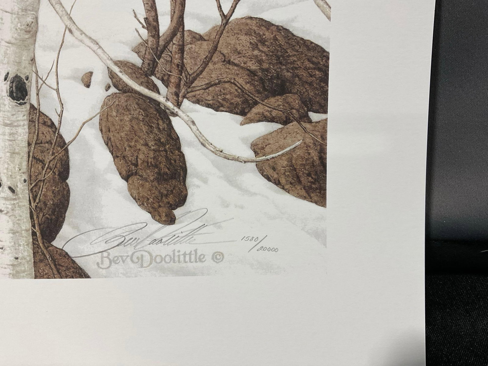 Unframed Signed & #d 1580/20000 Litho, titled Three More For Breakfast by Bev Doolittle, 20x20 w/... - 6