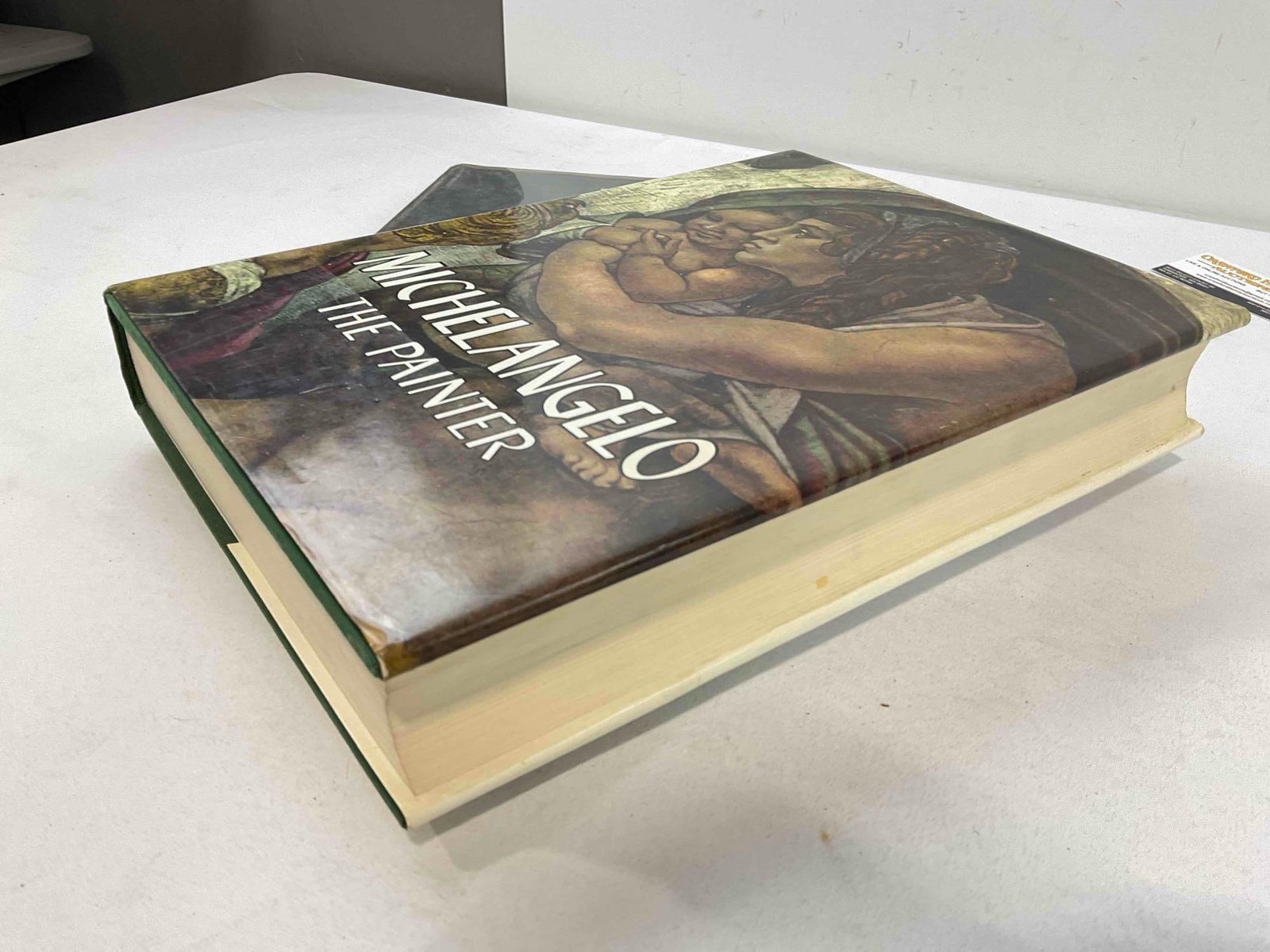 2 pcs Vintage Hardcover Art Books, incl. The Classic Nude & Michelangelo the Painter. See pics. - 2