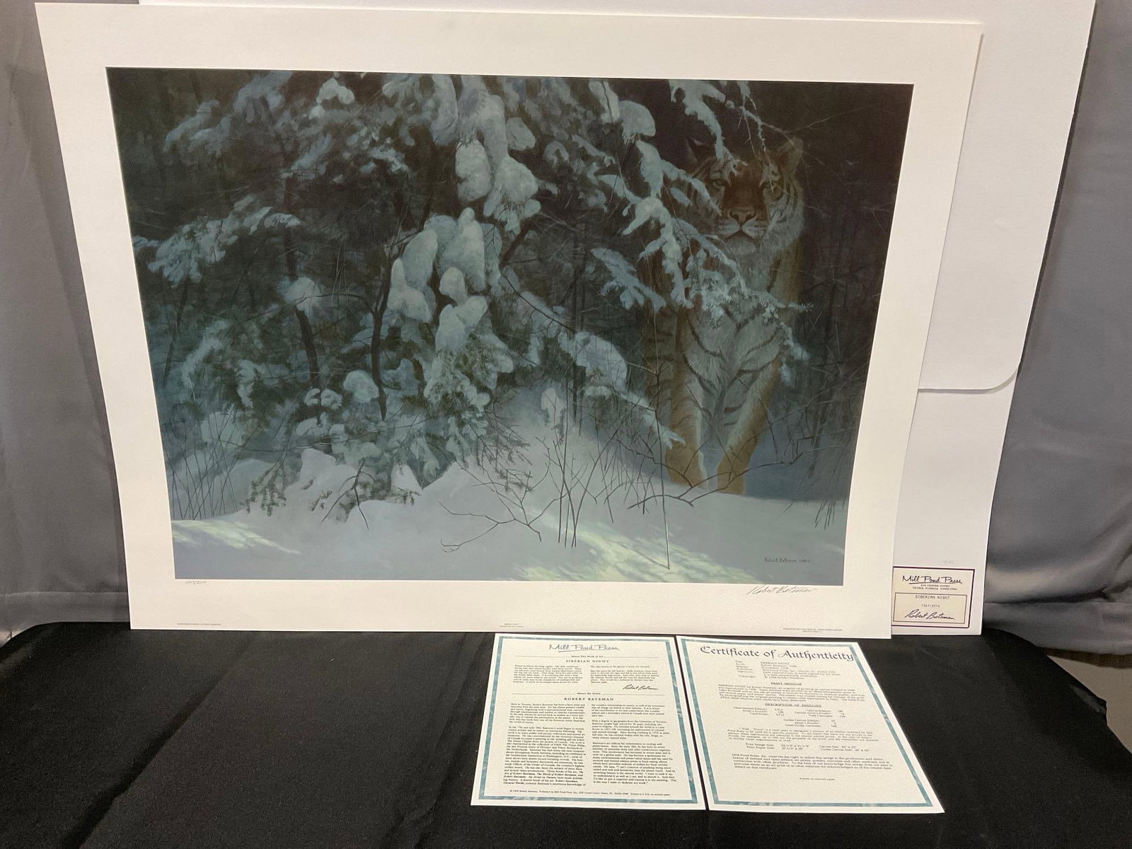 Unframed Signed & #d 1347/2514 Lithograph Siberian Night by Robert Bateman 1998, 29x37 inch: Appears to be in good shape. The piece measures approx 29h x 37w x 2d inches. See pics. E-6350 Valued 500 to 700
