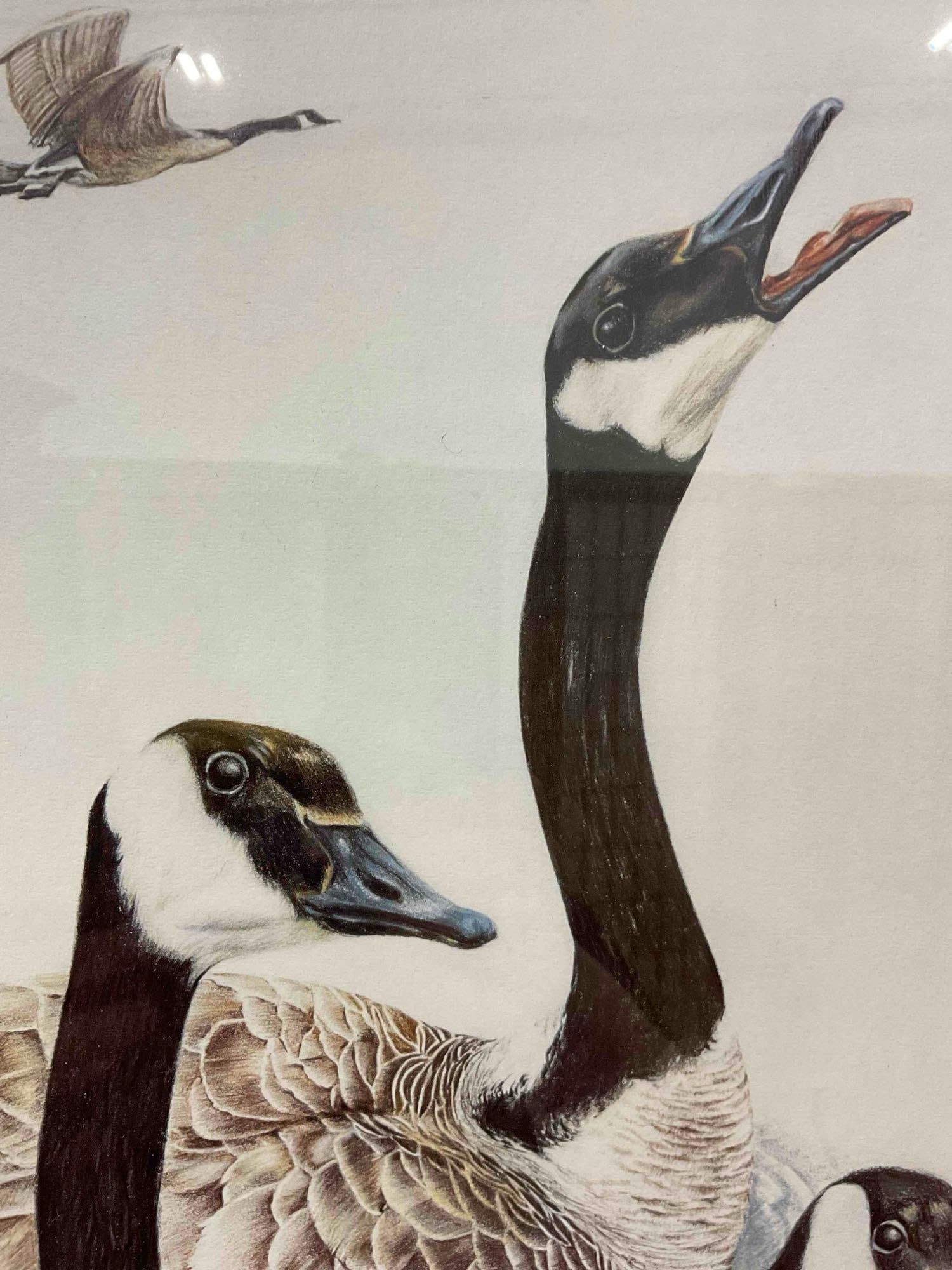 Vintage Framed Lithograph "Mill Pond Canadian Geese" Signed by Artist Ltd. Ed. 407/500. - 4