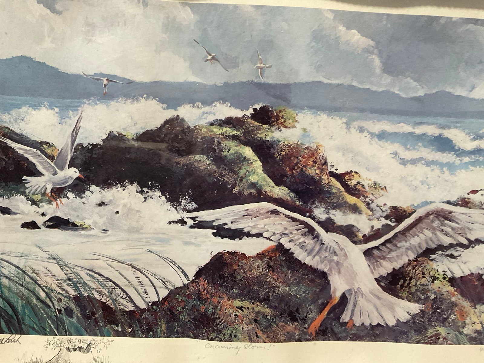 Framed Signed & #d 484/520 Litho w/Remarque, titled Oncoming Storm! by A. Lyall Lush, 17x23 inch - 2