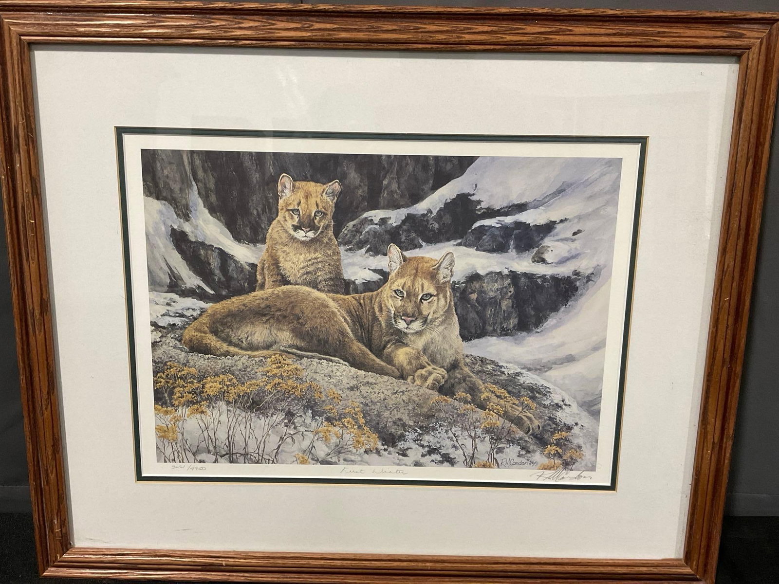 Framed Litho #d 3661/4950 & signed, titled First Winter by RoseMarie Condon 1995, 23x27 inches: Appears to be in good shape. The piece measures approx 23h x 27w x 3d inches. See pics. E-6230