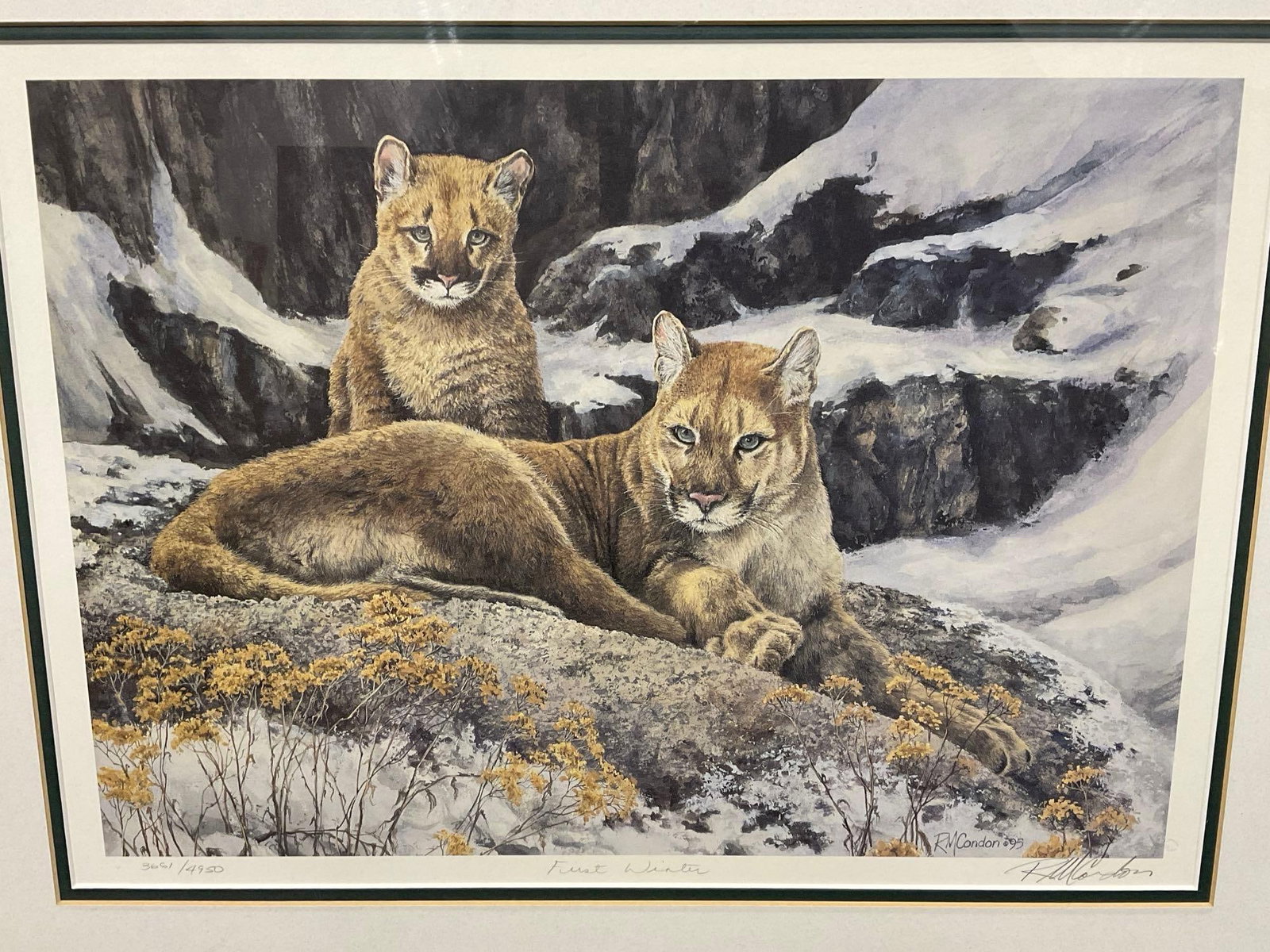 Framed Litho #d 3661/4950 & signed, titled First Winter by RoseMarie Condon 1995, 23x27 inches - 2