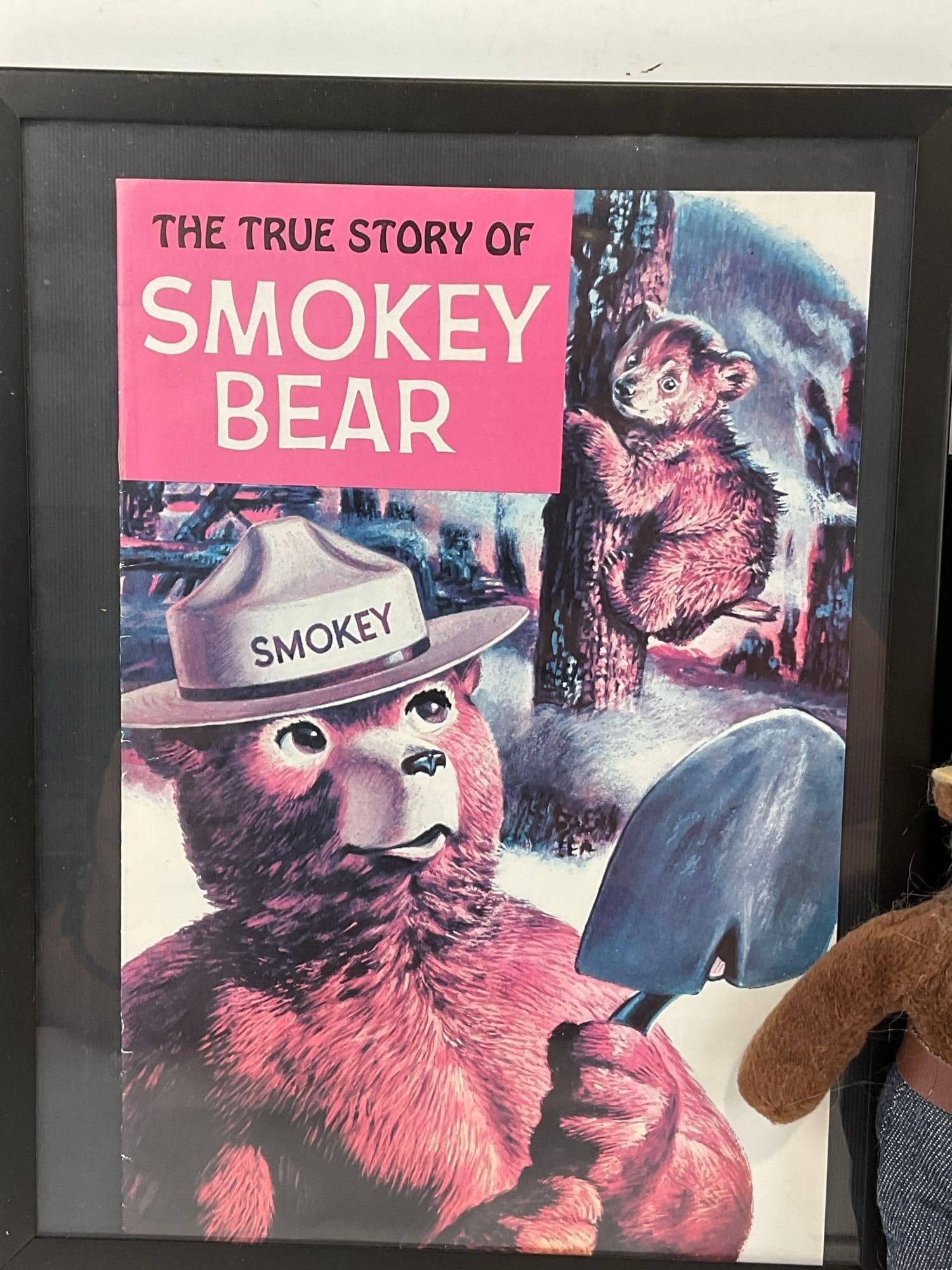 The True Story of Smokey Bear w/Smokey Bear Plush, Framed Teddy Roosevelt Quote & Illustration 14... - 2