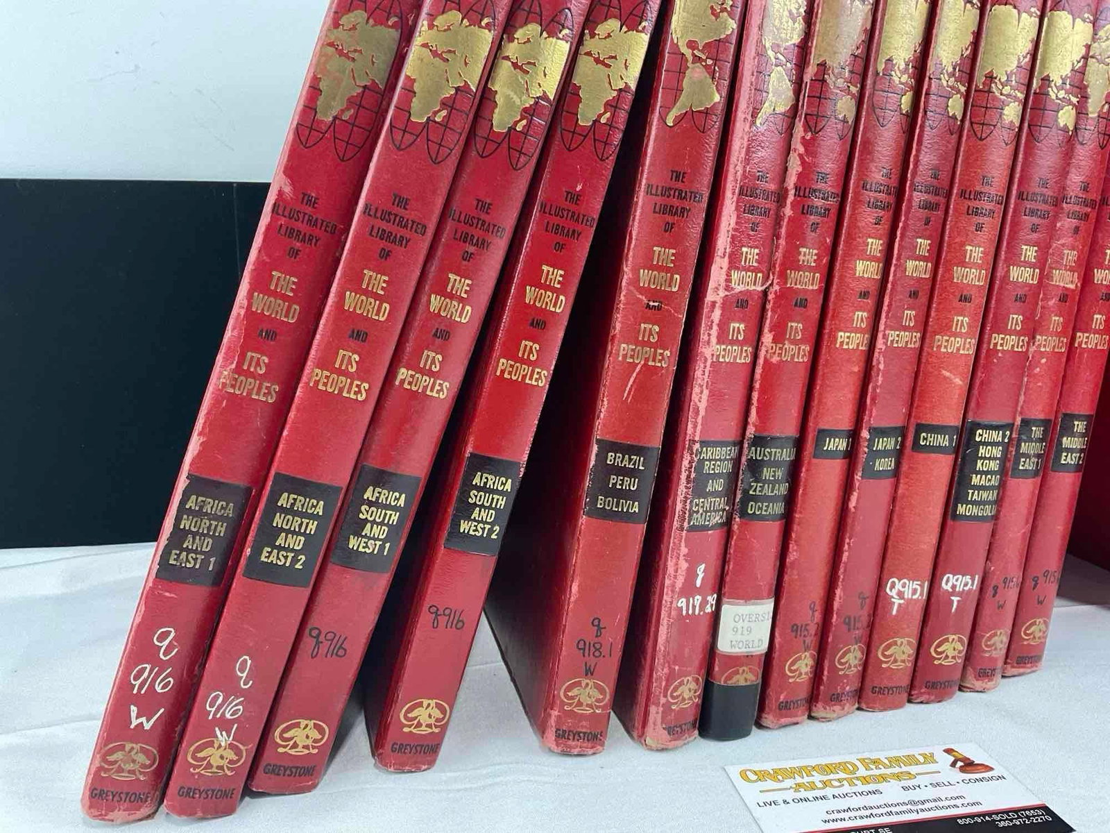 18 Volumes of The World & Its Peoples, subjects like Africa, South America, & Asia, some wear - 2