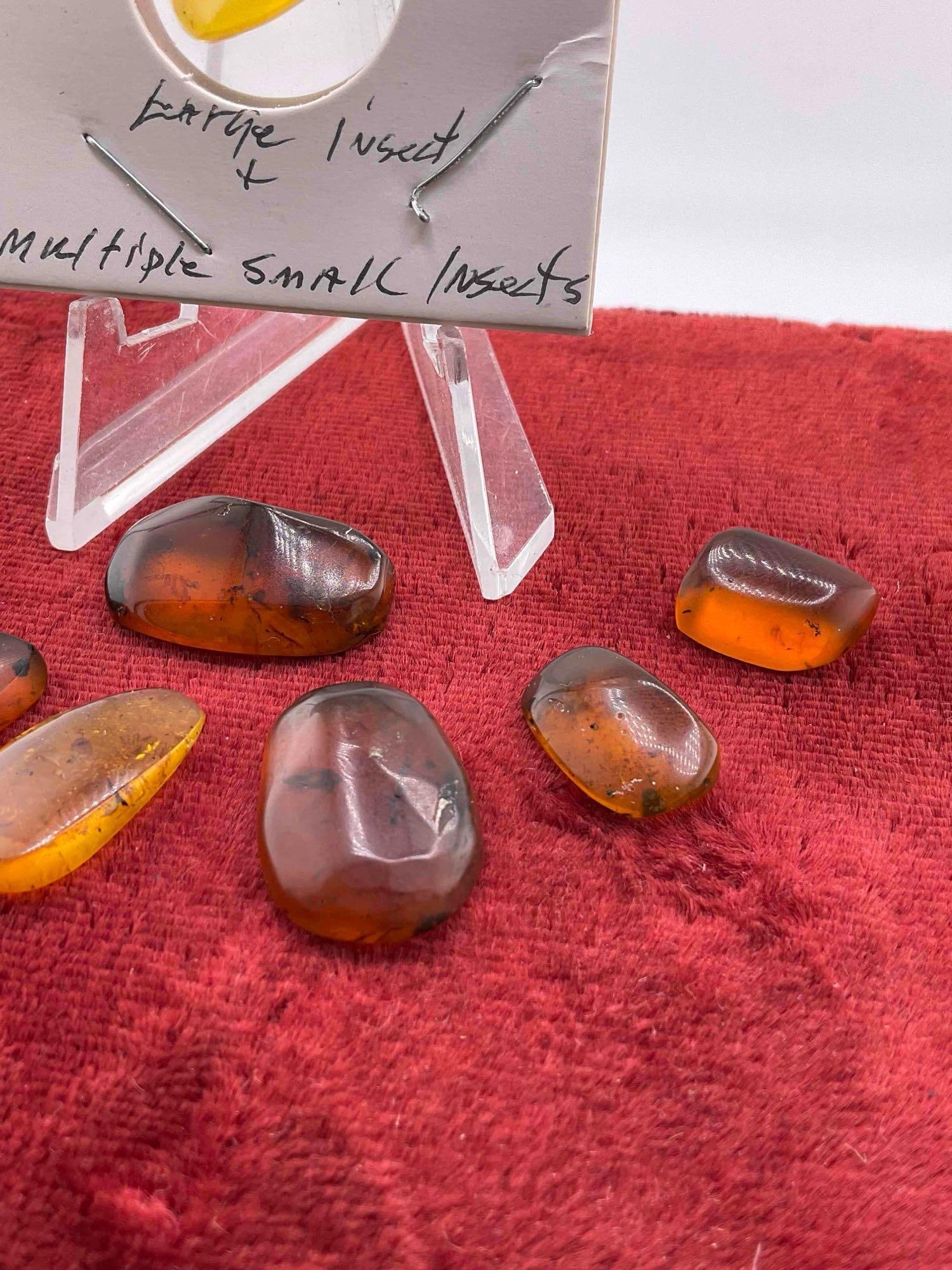 9 pcs Fossilized Amber Nuggets w/ Insect Inclusions, incl. 1x Burmese (Burmite) Amber. - 3