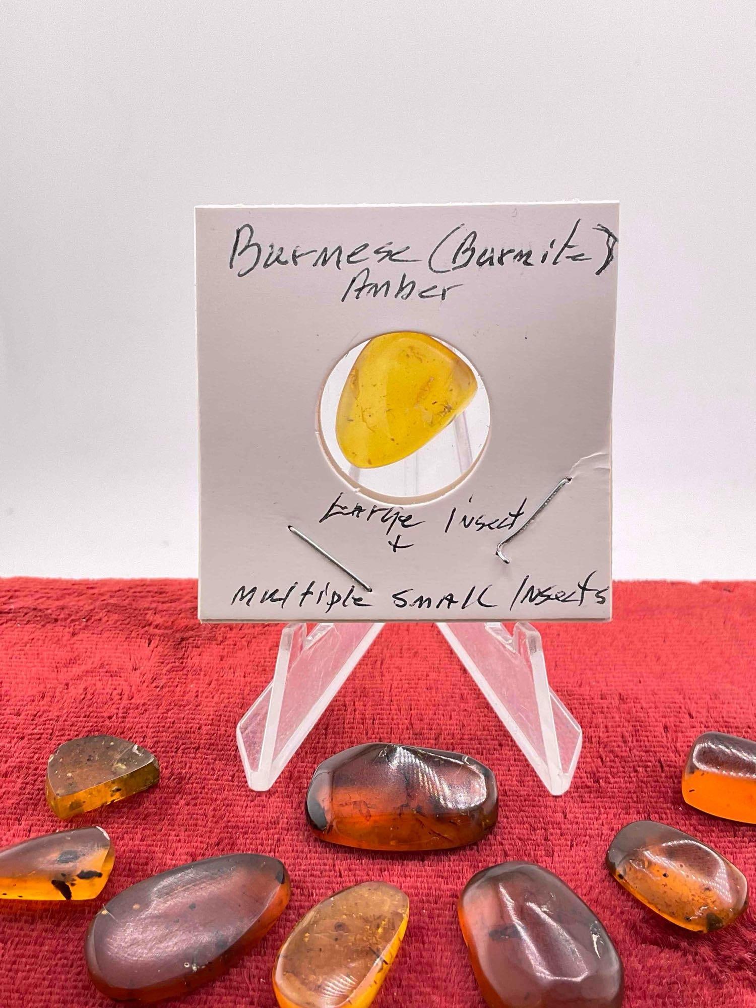 9 pcs Fossilized Amber Nuggets w/ Insect Inclusions, incl. 1x Burmese (Burmite) Amber. - 4