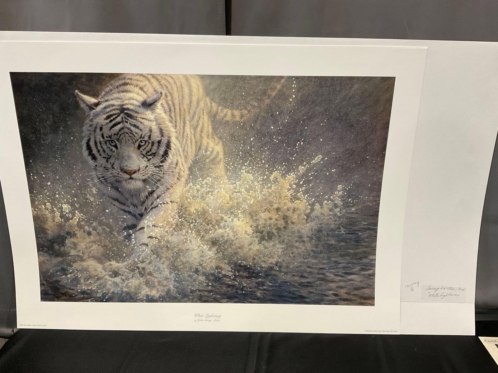 Unframed Signed & #d 1034/1250 Litho, titled White Lightning by John Seesey Lester 1997, 27x40 inch: Appears to be in good shape. The piece measures approx 27h x 40w x 2d inches. See pics. E-6350 *Freight Required if shipped, Buyer Arranged/Responsibility* Valued 200 to 400