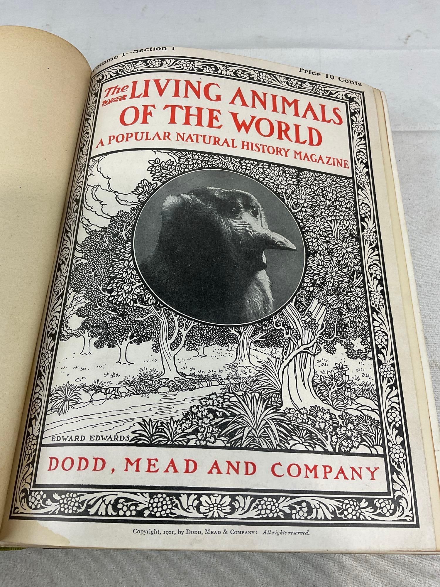 8 Antique Books, Great Men & Famous Women 1-7 Volumes, & Living Animals of the World Vol 1 - 2