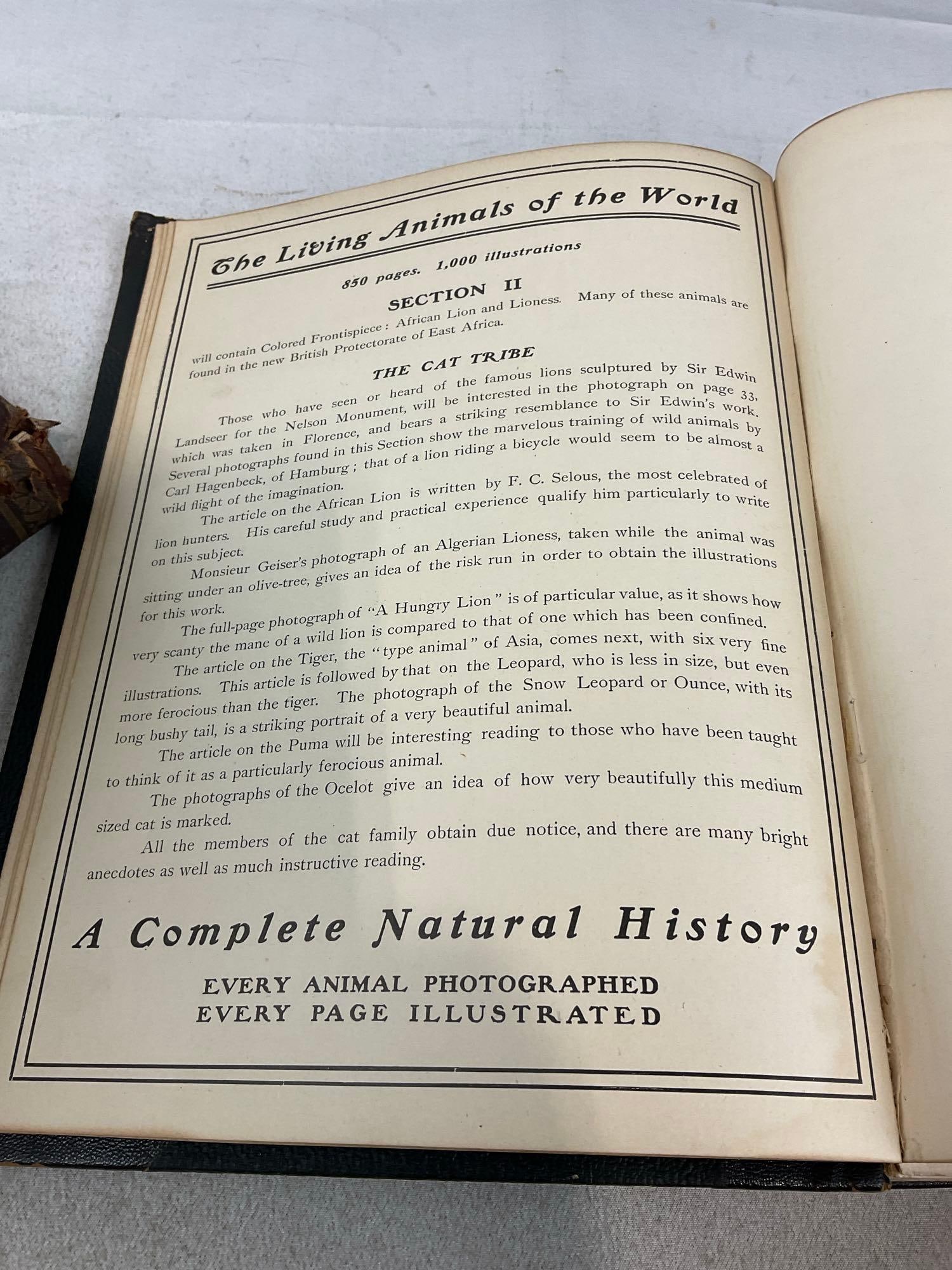 8 Antique Books, Great Men & Famous Women 1-7 Volumes, & Living Animals of the World Vol 1 - 3