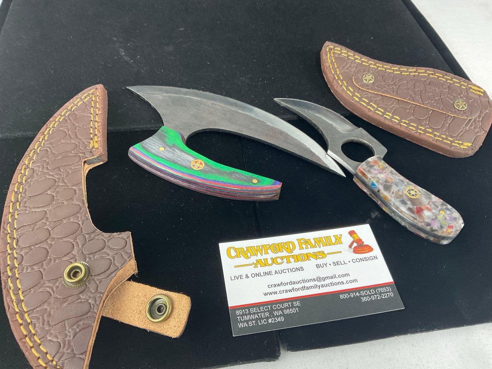 Pair of File Steel Blade Knives, w/1x Tinted Wood & 1x Resin Handle & Leather Sheaths - 3