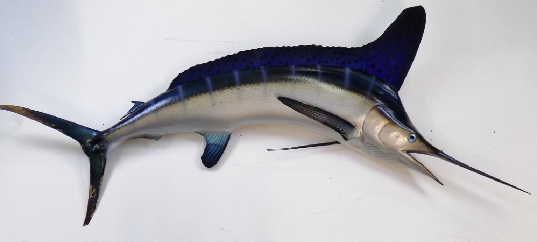 SAILFISH MOUNT (1 of 5)
