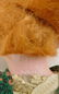 ANTIQUE BISQUE DOLL - 6