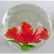 LOT OF ART GLASS PAPERWEIGHTS - 2