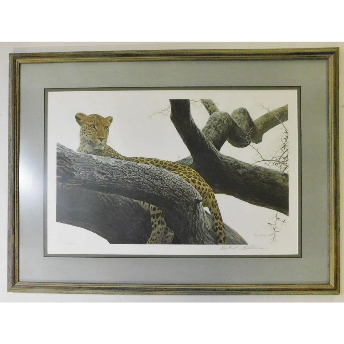 ROBERT BATEMAN SIGNED PRINT: A ROBERT BATEMAN SIGNED LIMITED EDITION PRINT. ENTITLED "LEOPARD AT SERONERA" NUMBER 214/950. . MEASURES 29" X 21.5"" WITH FRAME.