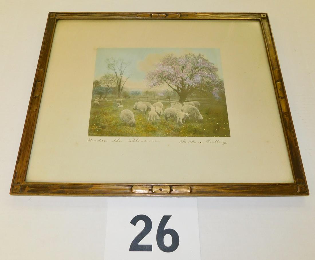 SIGNED WALLACE NUTTING COLORED PHOTOGRAPH: A SIGNED WALLACE NUTTING COLORED PHOTOGRAPH ENTITLED "UNDER THE BLOSSOMS". FEATURES SHEEP AND LAMB UNDER THE CHERRY BLOSSOM TREE. MEASURES 18" X 15" WITH FRAME.