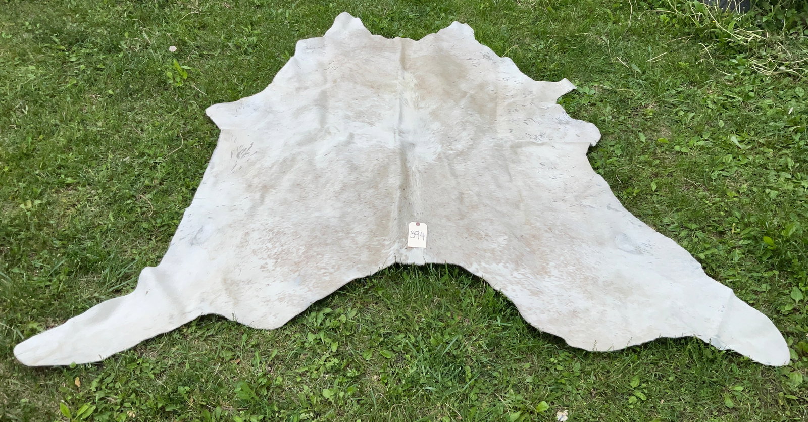 COW HIDE: COW HIDE MEASURES 7' X 7'. Condition All property is sold in "as is" condition and all sales are final. Teel Auctions and its consignor make no representations or warranties, express or implied, with 