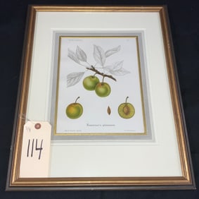 LAWRENCE'S PLOMMON PRINT IN FRAME.