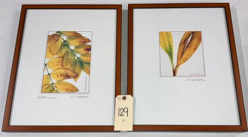 HANS WALTHER SIGNED PHOTOGRAPHS.