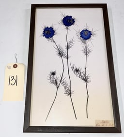 KRISTINA FINE LEAF ART  ENTITLED "NIGELLA "LOVE IN A MIST" IN FRAME.