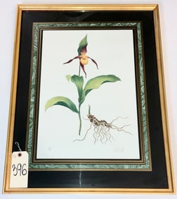 SIGNED LIMITED EDITION BOTANNICAL PRINT IN FRAME.