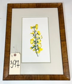 KATHERINE KYRUMSKAS SIGNED DRAWING ENTITLED "MULLEIN FLOWER", FRAMED AND MATTED.