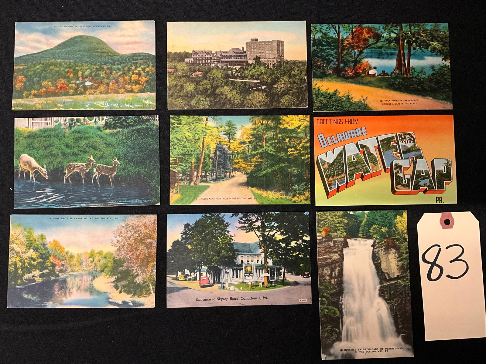 Vintage Postcards Pocono Mountains Pennsylvania Scenic Views Paper Ephemera (1 of 4)