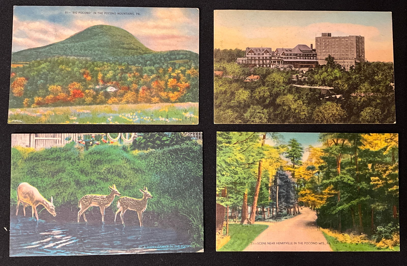 Vintage Postcards Pocono Mountains Pennsylvania Scenic Views Paper Ephemera - 2