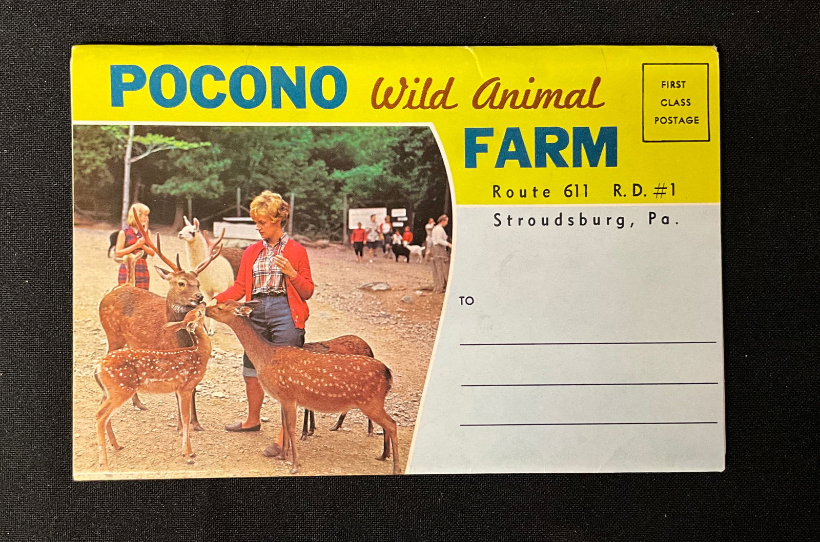 Vintage Postcards and Souvenir Folders of the Pocono Mountains, Pennsylvania - 3