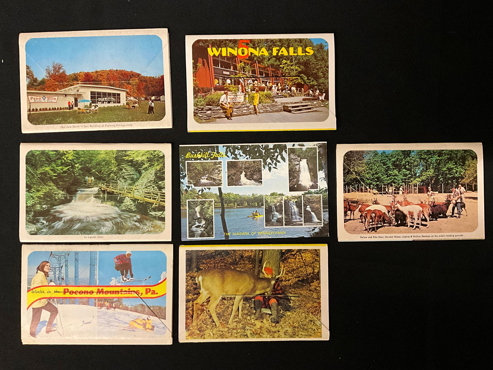 Vintage Postcards and Souvenir Folders of the Pocono Mountains, Pennsylvania - 4