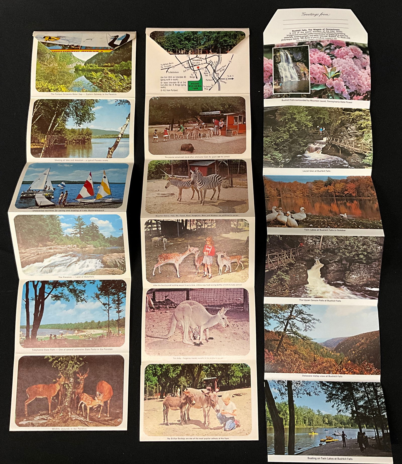 Vintage Postcards and Souvenir Folders of the Pocono Mountains, Pennsylvania - 5