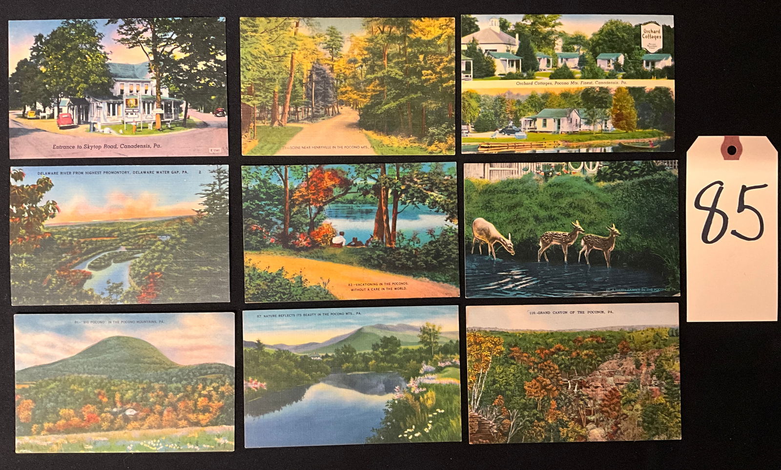 Vintage Postcards. Pocono Mountains, Pennsylvania (1 of 3)