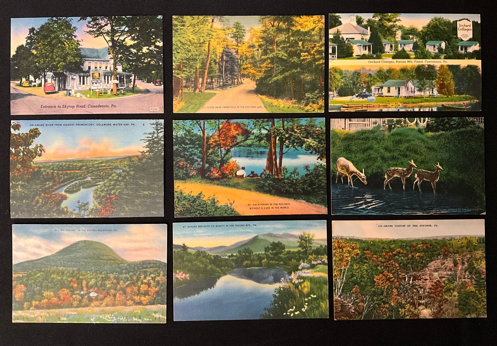 Vintage Postcards. Pocono Mountains, Pennsylvania - 2