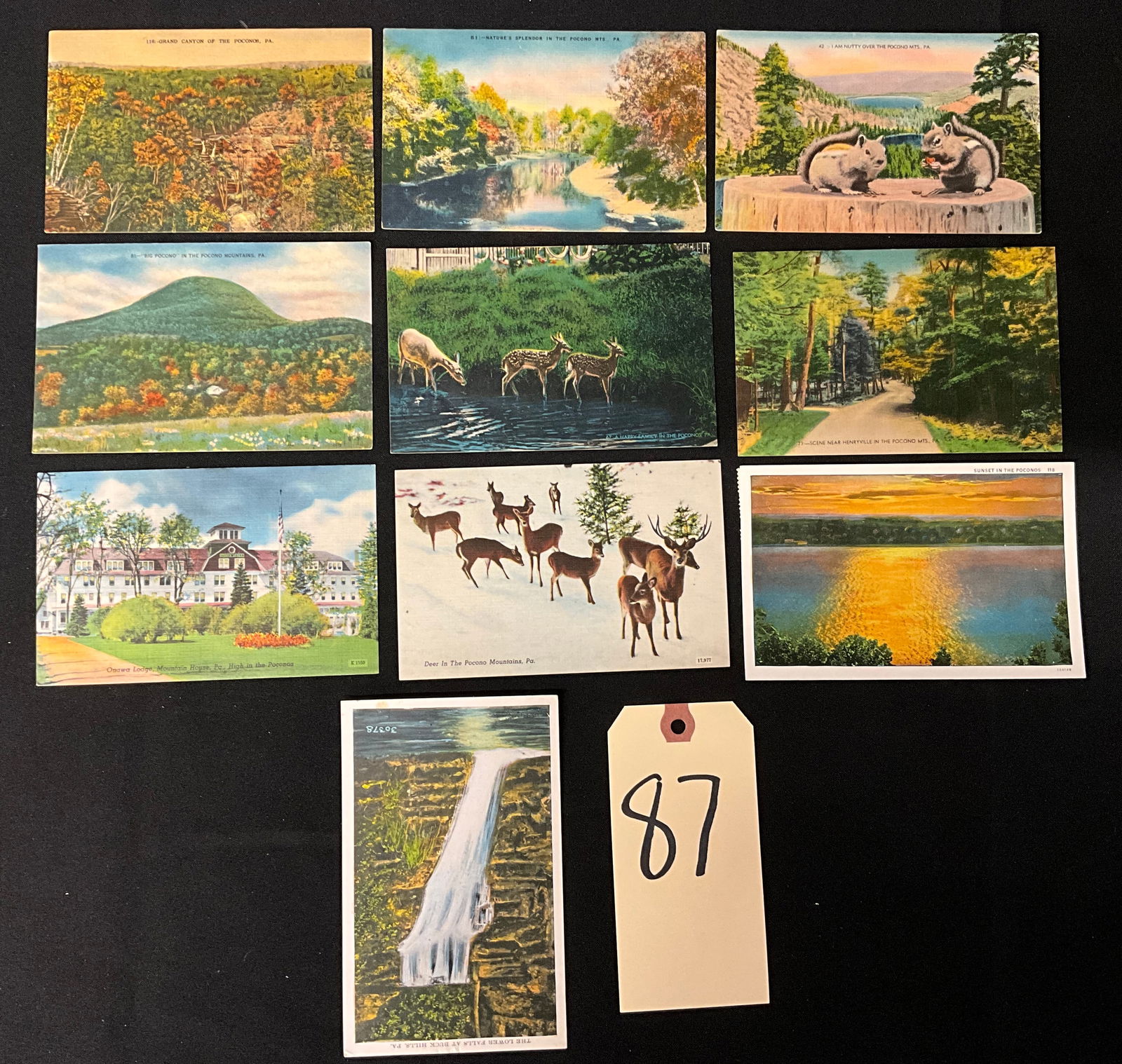 Pocono Mountains Vintage Scenic Postcards Ephemera Collection, Hunsberger & Son Co. (1 of 4)