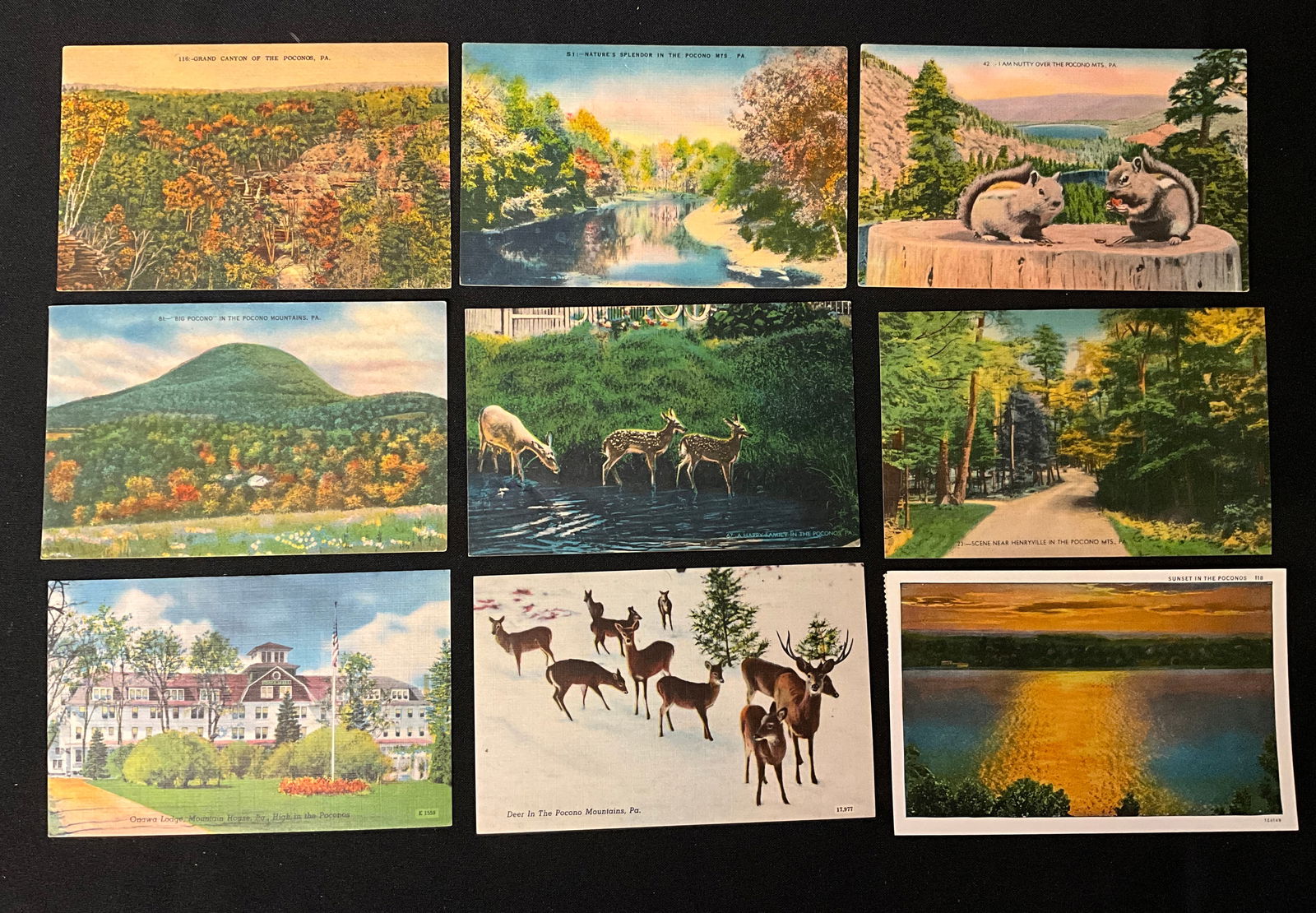 Pocono Mountains Vintage Scenic Postcards Ephemera Collection, Hunsberger & Son Co. - 2