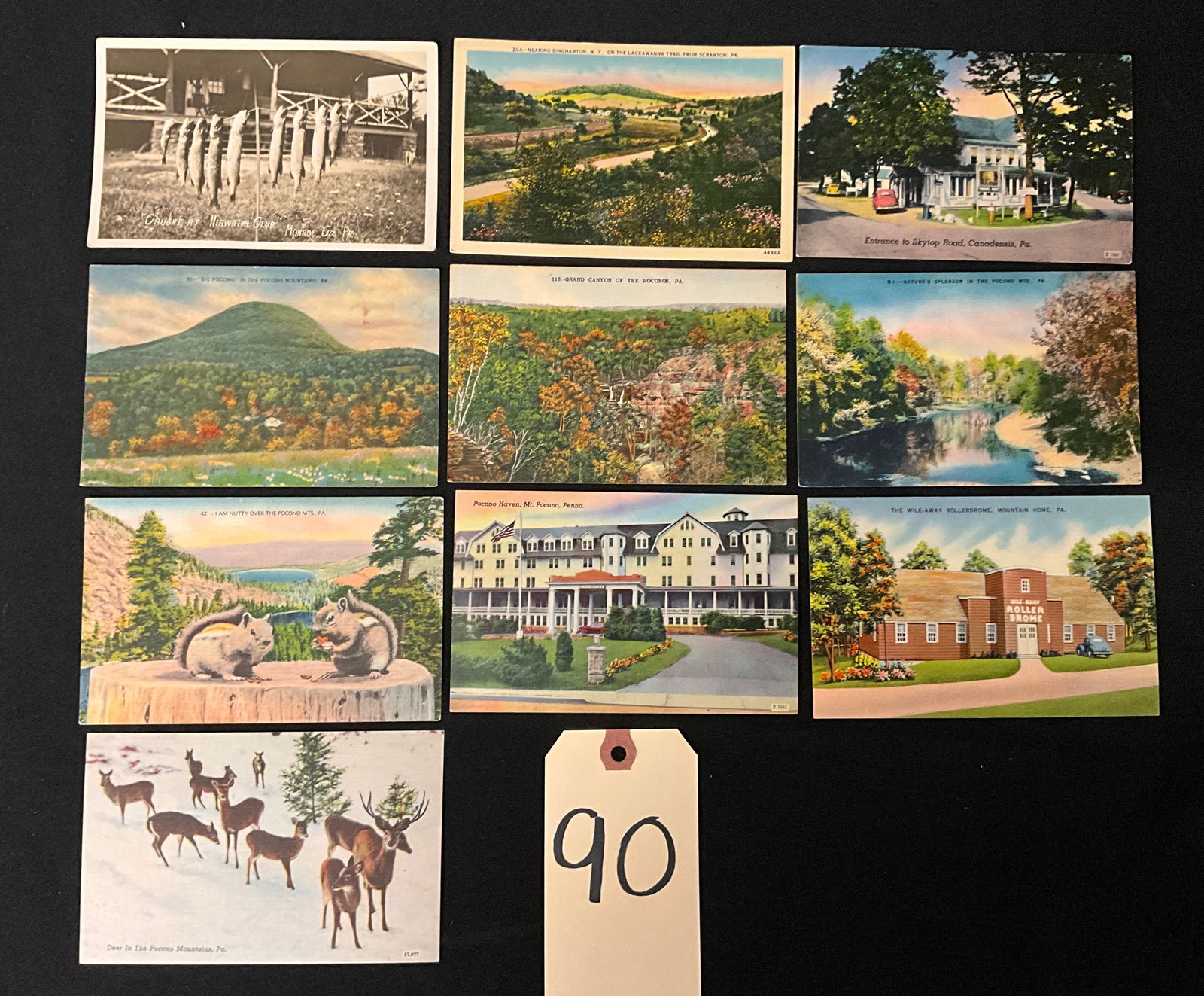 Vintage Pocono Mountains Pennsylvania Scenic Postcards and Paper Ephemera: This is a collection of vintage postcards and paper ephemera documenting scenic and resort locations in the Pocono Mountains region of Pennsylvania. The collection includes views of Pocono Lake