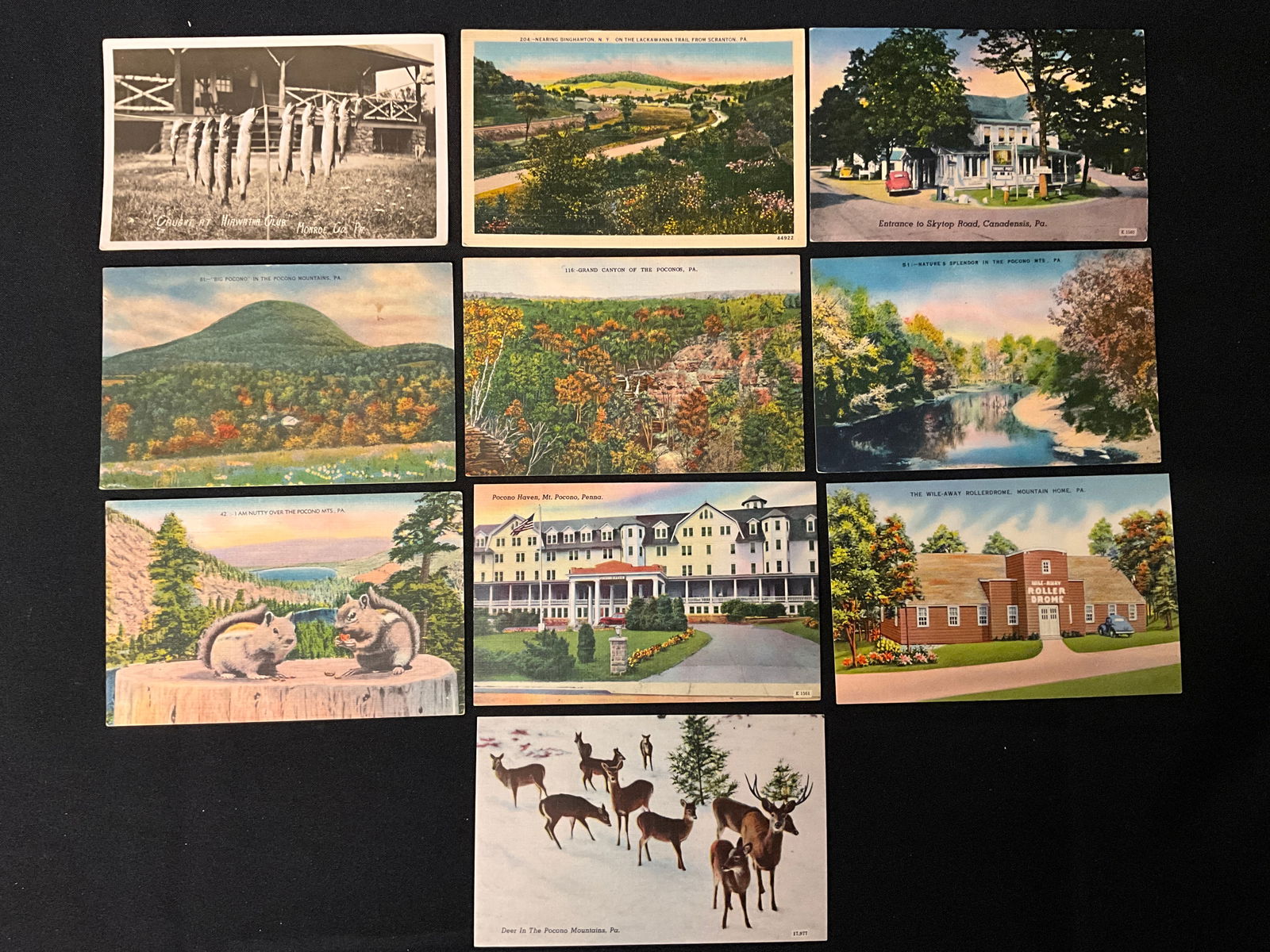 Vintage Pocono Mountains Pennsylvania Scenic Postcards and Paper Ephemera - 2