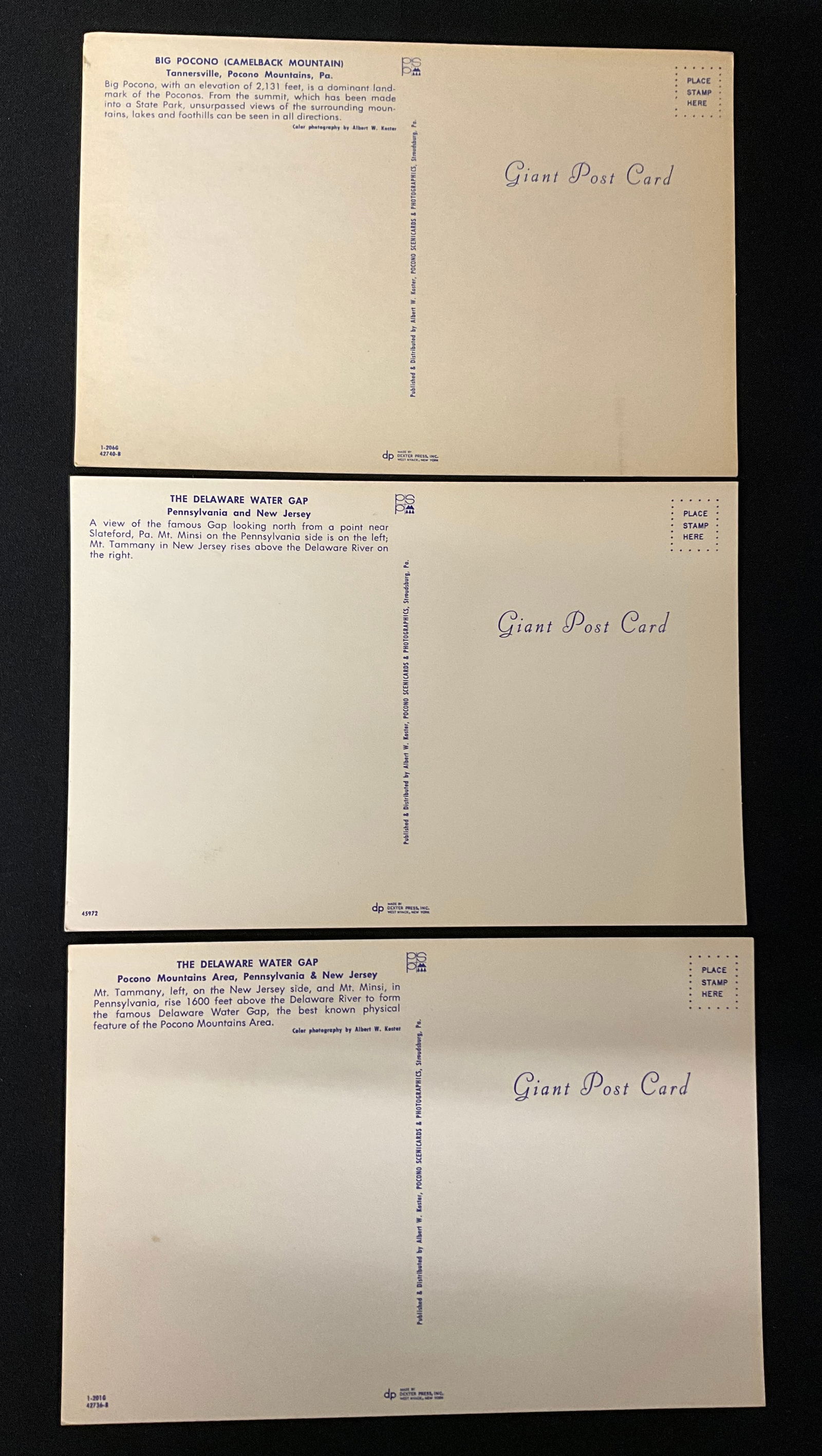 Collection of Vintage Delaware Water Gap Postcards. Curteich-Chicago, Mid-20th Century. - 4