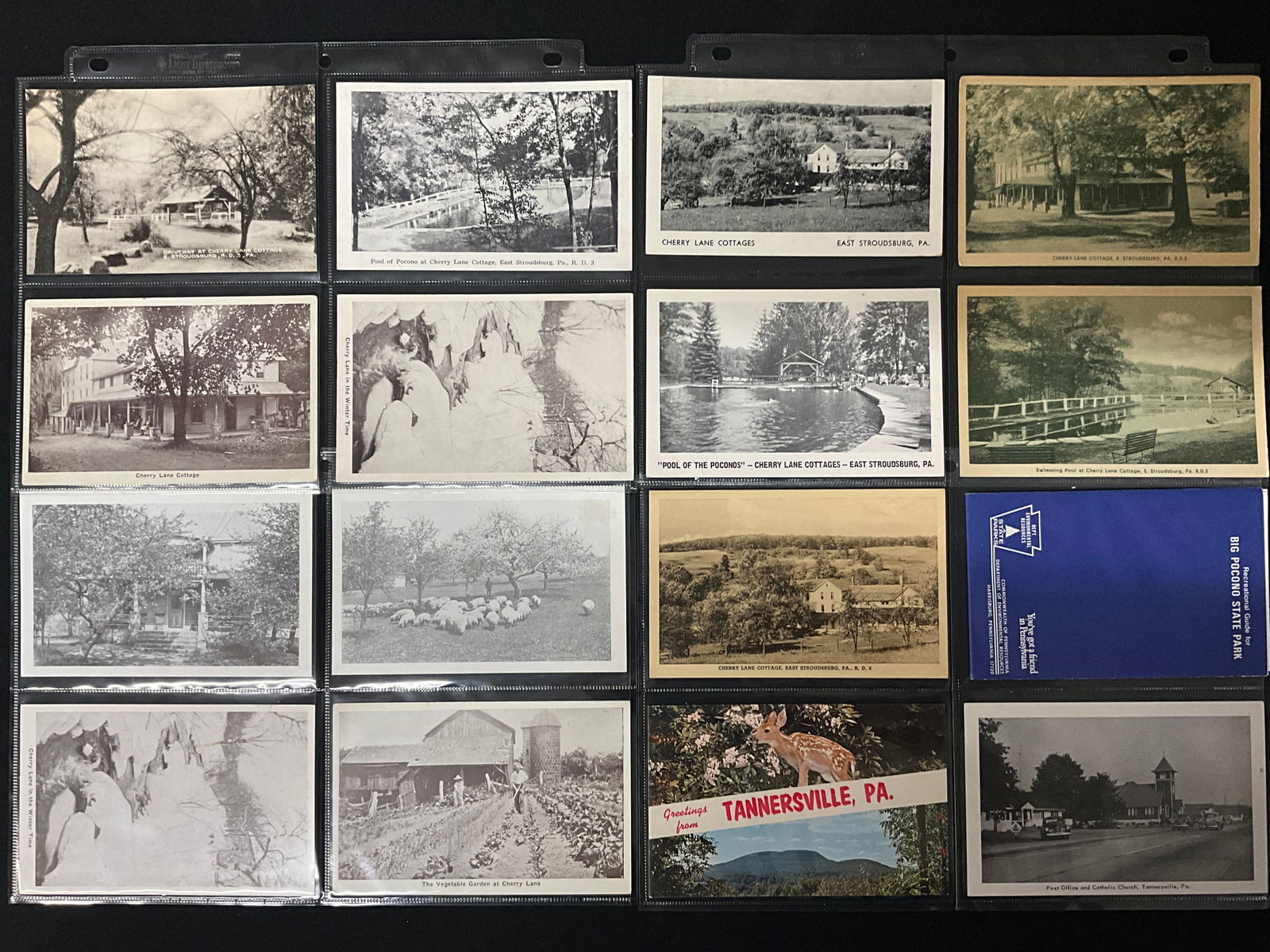 Vintage Postcards of Cherry Lane Cottages and Tannersville, Pocono Mountains, PA - 2