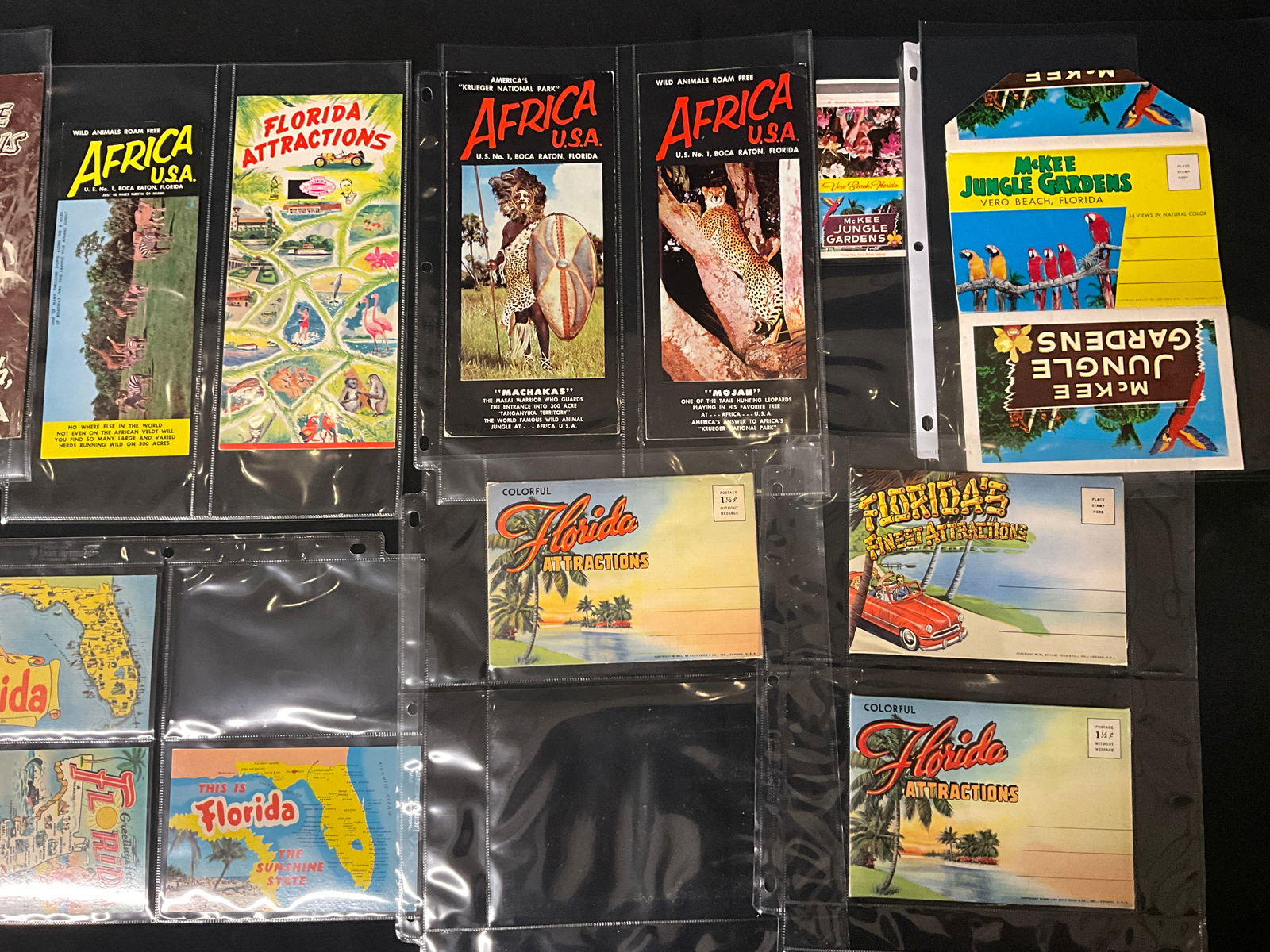 Florida Tourism and Roadside Attractions, Postcard and Brochure Collection, c. 1940s-1950s - 2