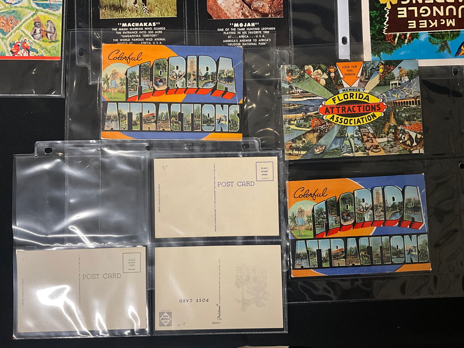 Florida Tourism and Roadside Attractions, Postcard and Brochure Collection, c. 1940s-1950s - 4