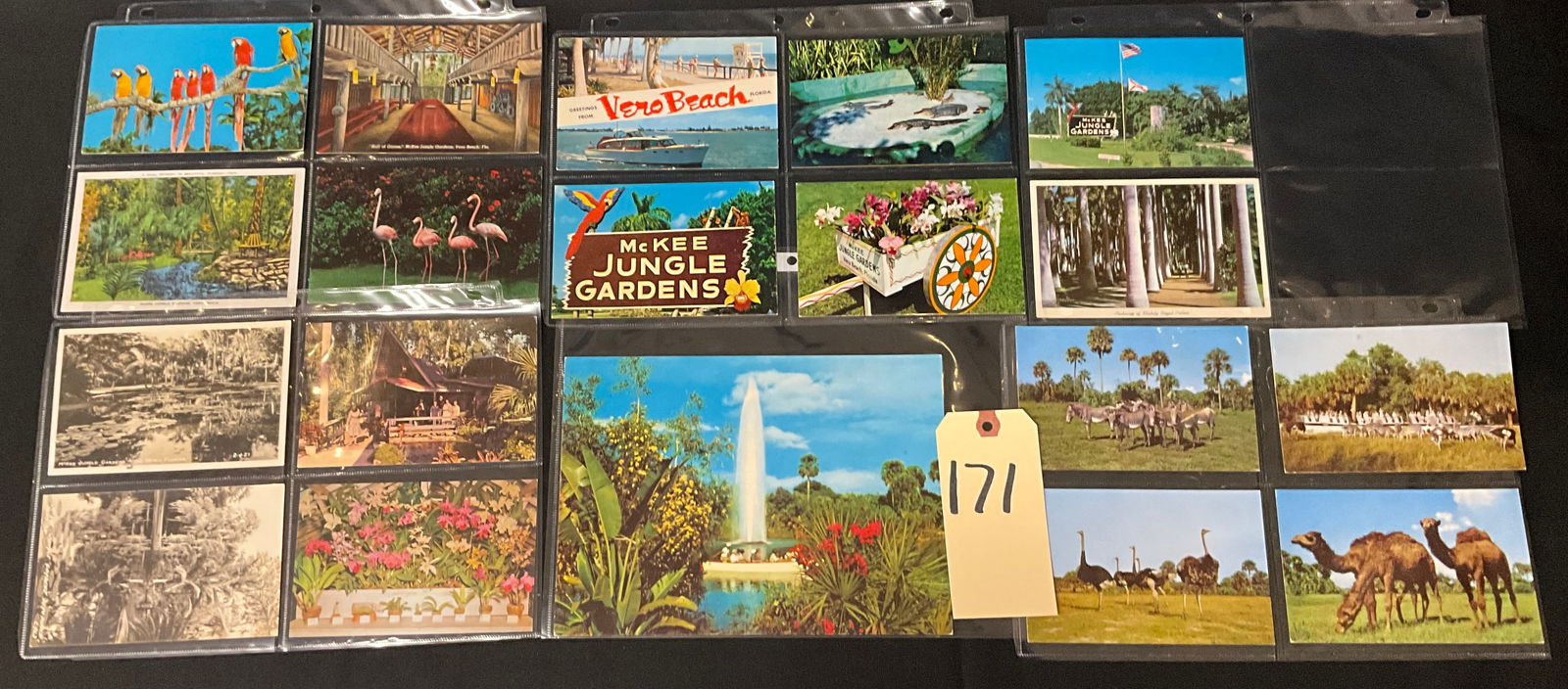 Vintage Florida Tourism Postcard Collection, McKee Jungle Gardens and Africa U.S.A., circa 1945-1965 (1 of 4)