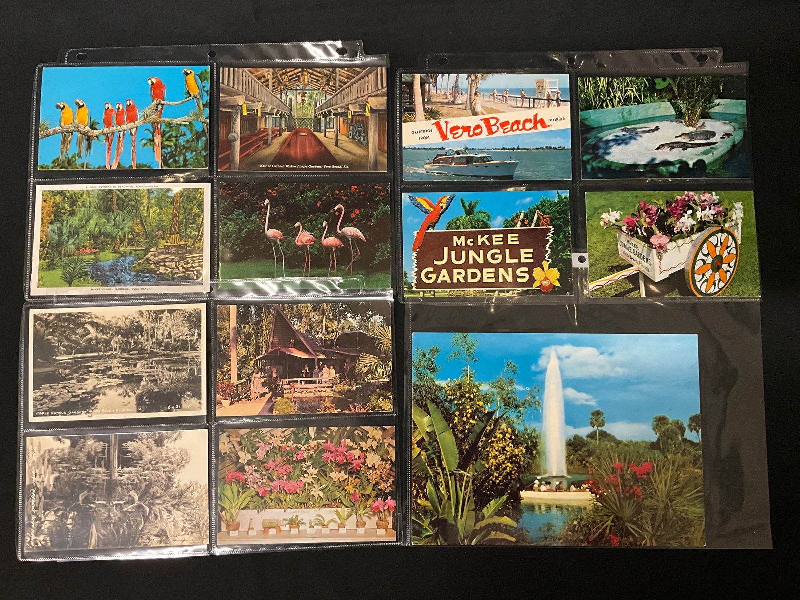 Vintage Florida Tourism Postcard Collection, McKee Jungle Gardens and Africa U.S.A., circa 1945-1965 - 2