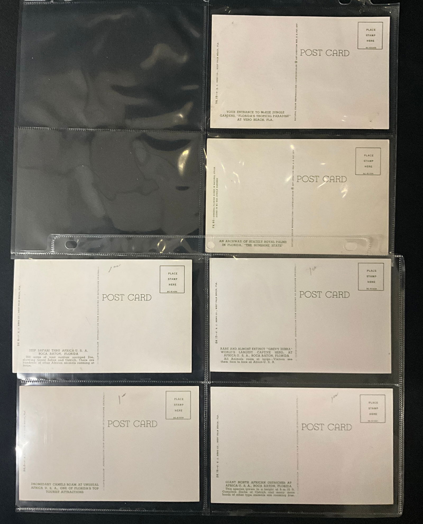 Vintage Florida Tourism Postcard Collection, McKee Jungle Gardens and Africa U.S.A., circa 1945-1965 - 4