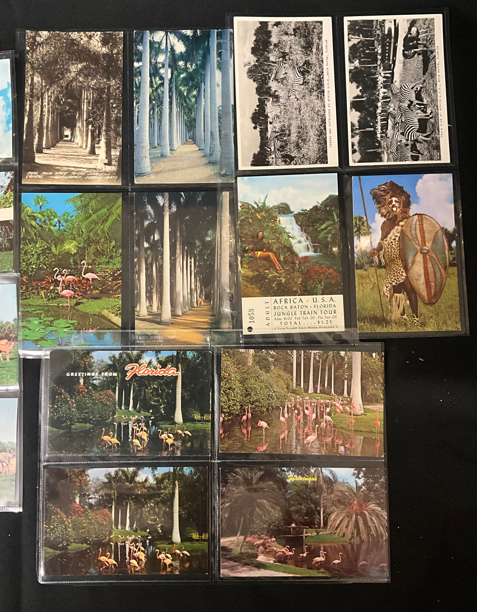 Mid-Century Florida Tourism Collection, Postcards and Ticket, 1953-1960 - 2