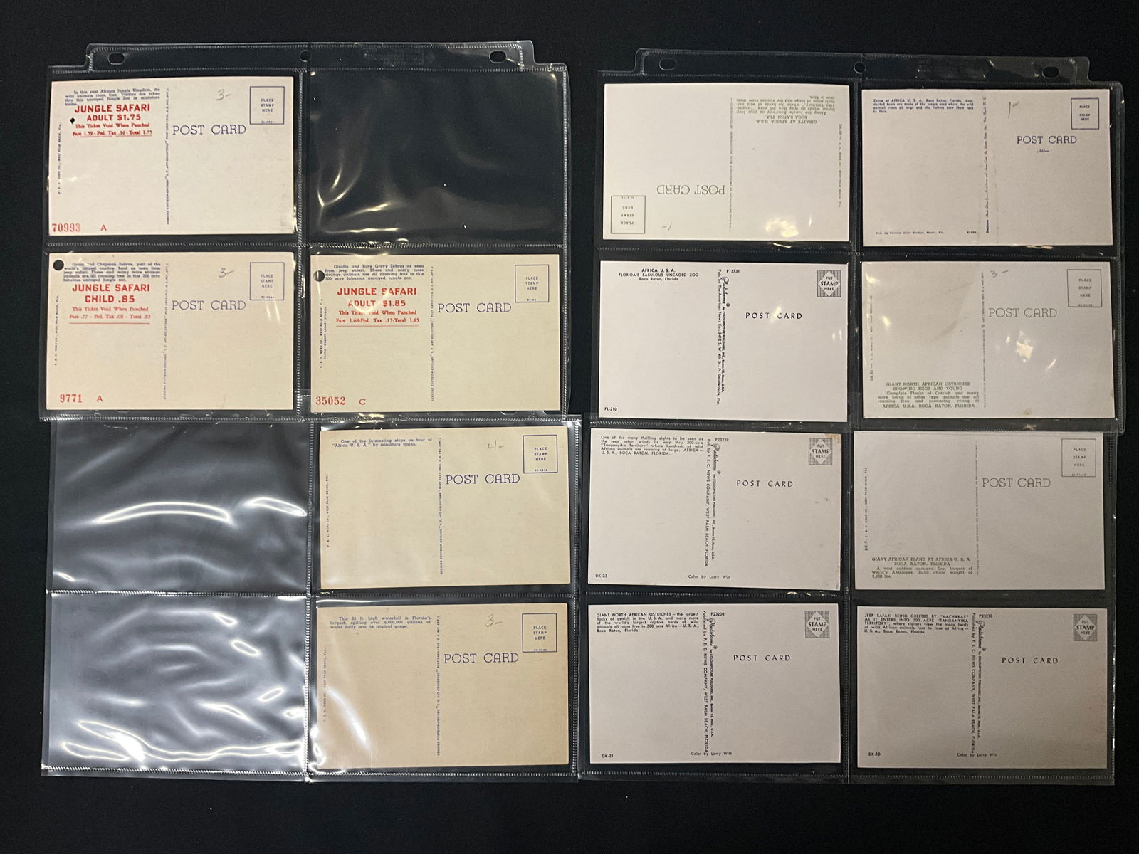 Mid-Century Florida Tourism Collection, Postcards and Ticket, 1953-1960 - 4