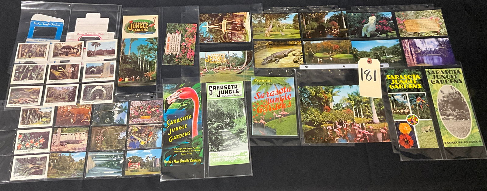 Florida Roadside Attractions, Postcard and Brochure Collection, c. 1950s-1960s: This collection features approximately 35-40 pieces of vintage Florida tourism ephemera documenting Sarasota Jungle Gardens and McKee Jungle Gardens in Vero Beach. Included are 15-20 chrome-era printe